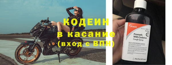 амф Арсеньев