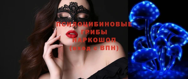 ГАЛЛЮЦИНОГЕННЫЕ ГРИБЫ Армянск