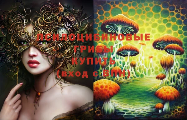apvp Аркадак