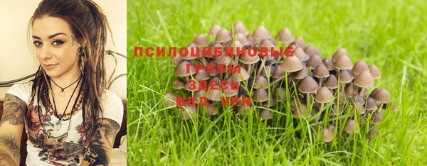 амф Арсеньев