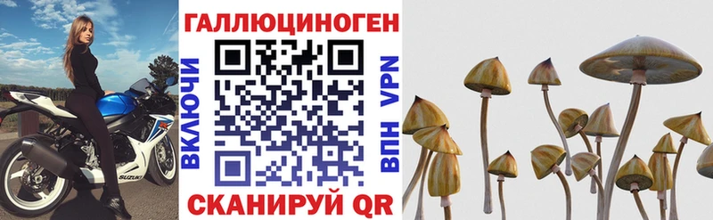 Галлюциногенные грибы Magic Shrooms  купить   Красноярск 